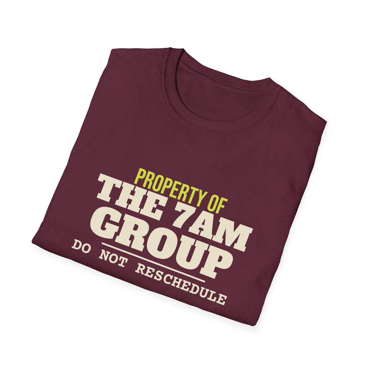 Property of the 7AM Group – Funny Pickleball Addict T-Shirt