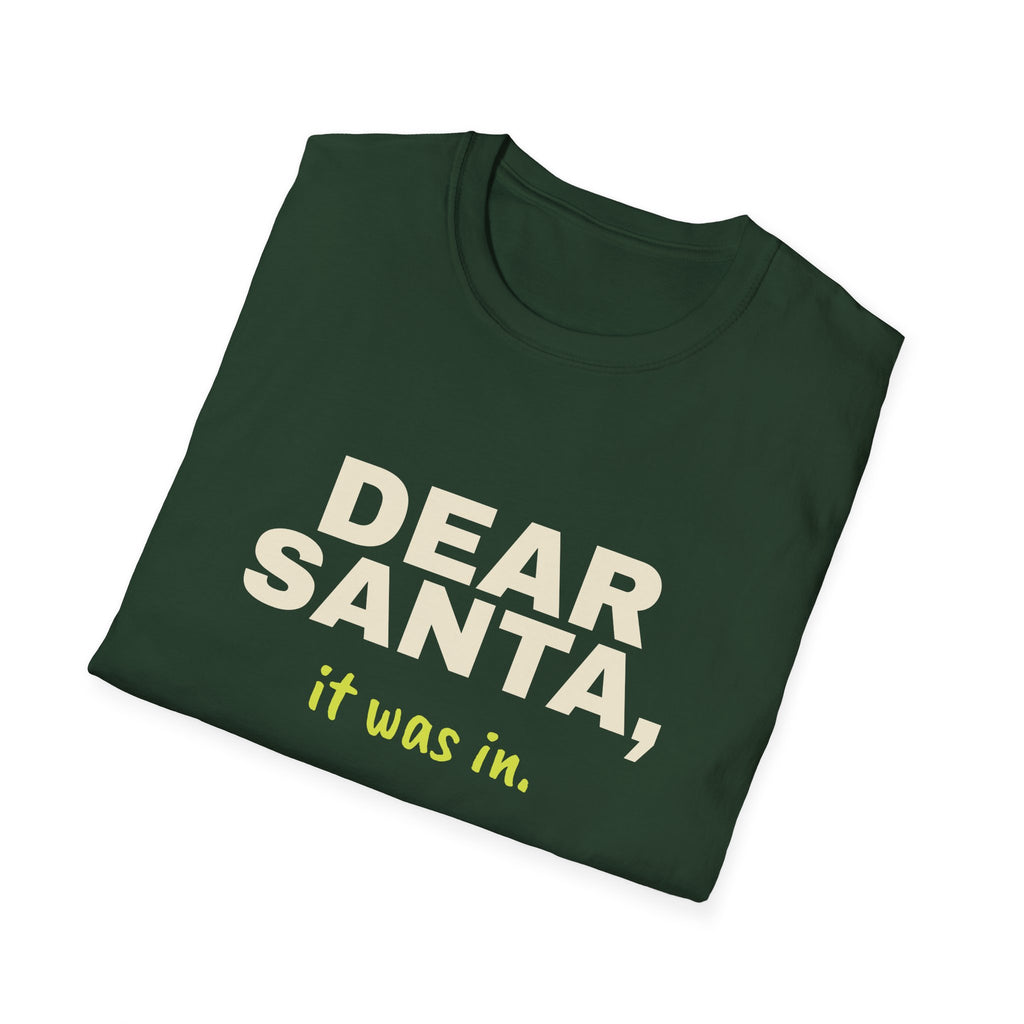 Dear Santa, It Was In – Funny Christmas Pickleball T-Shirt
