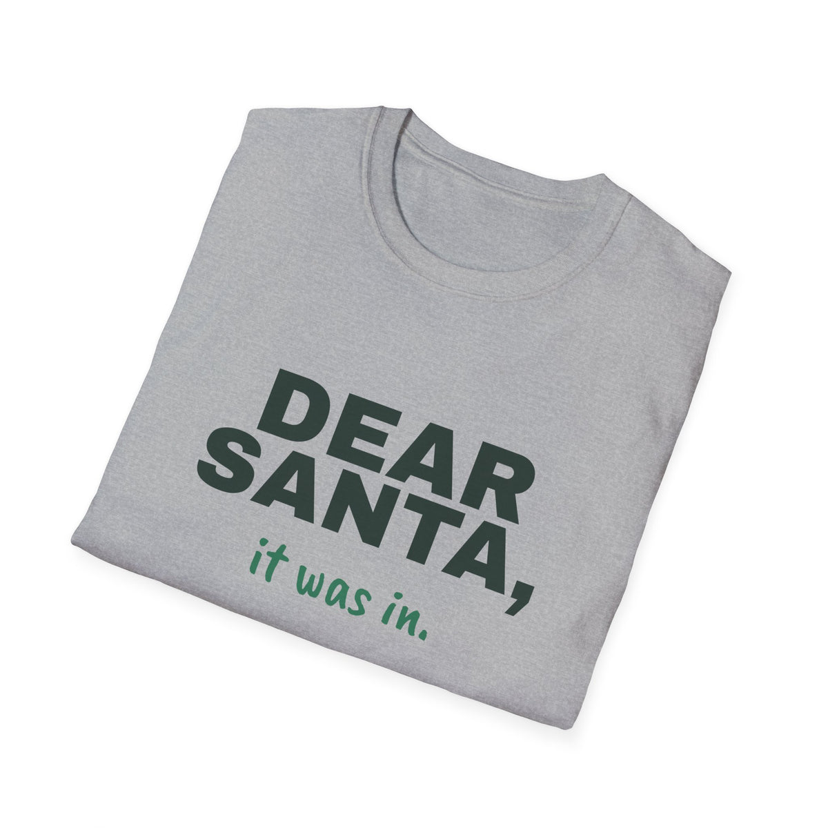 Dear Santa, It Was In – Funny Christmas Pickleball T-Shirt