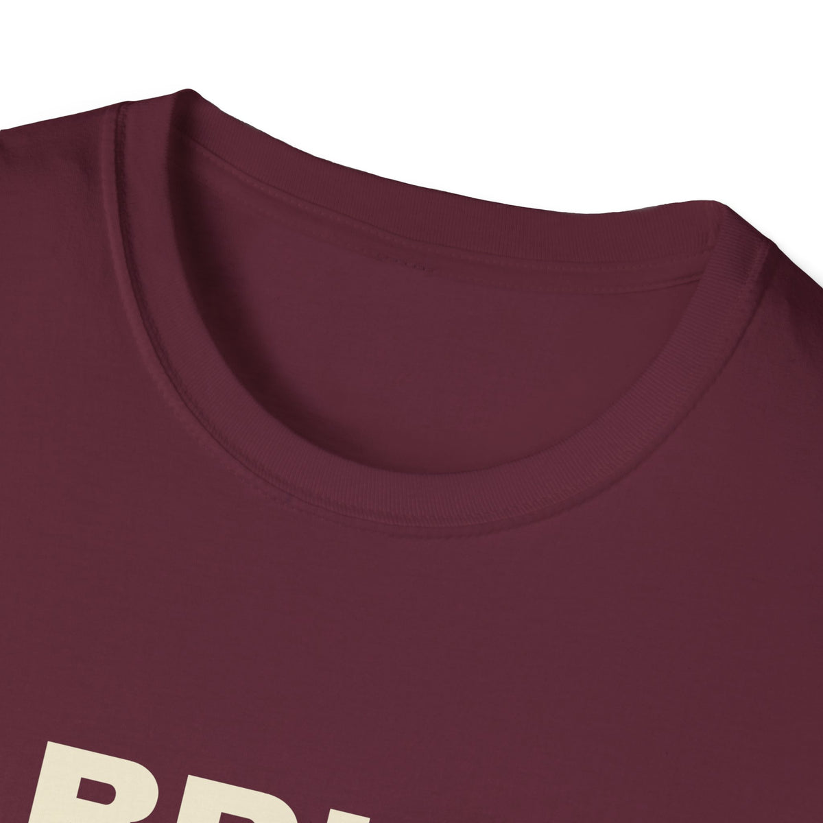 I Bring the Paddle. You Bring the Excuses – Funny Pickleball Trash Talk T-Shirt