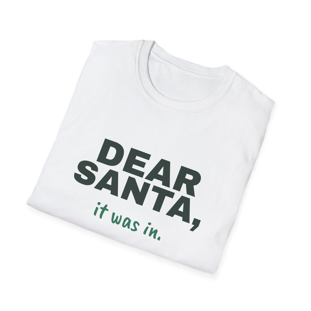 Dear Santa, It Was In – Funny Christmas Pickleball T-Shirt