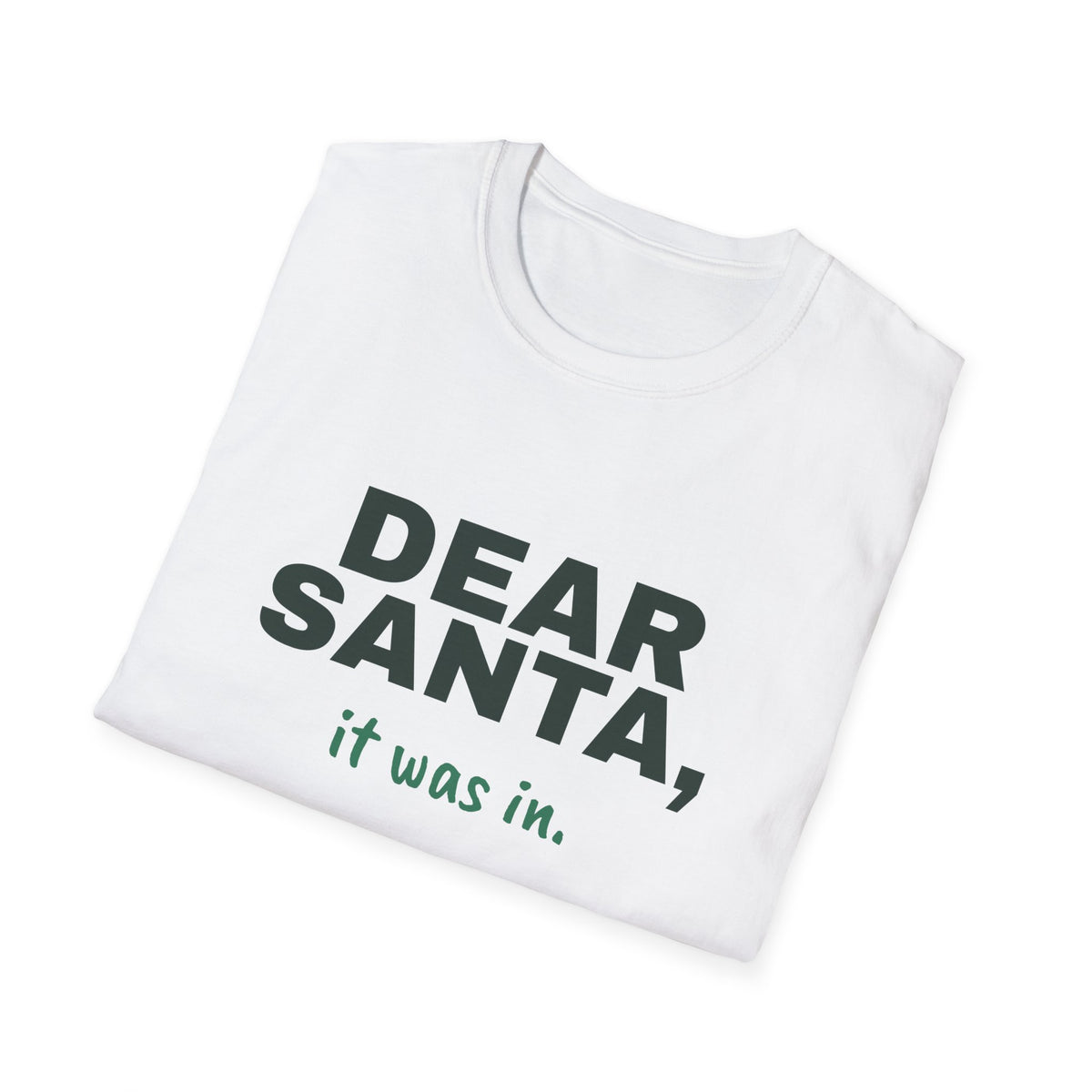 Dear Santa, It Was In – Funny Christmas Pickleball T-Shirt