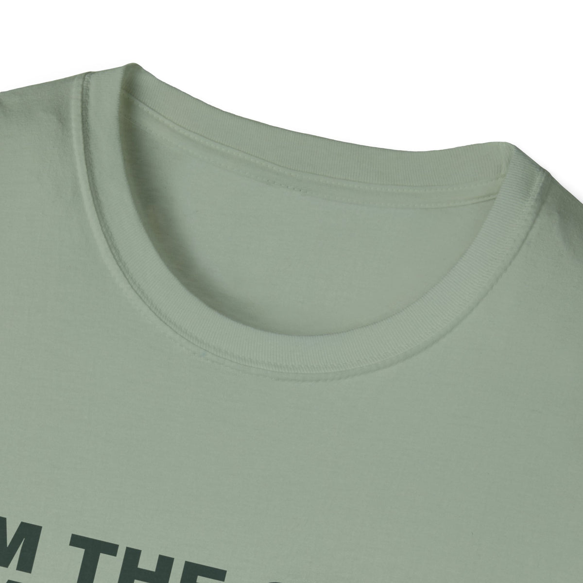 I'm the Good Partner. Ask Anyone Except My Partner – Funny Doubles Partner T-Shirt