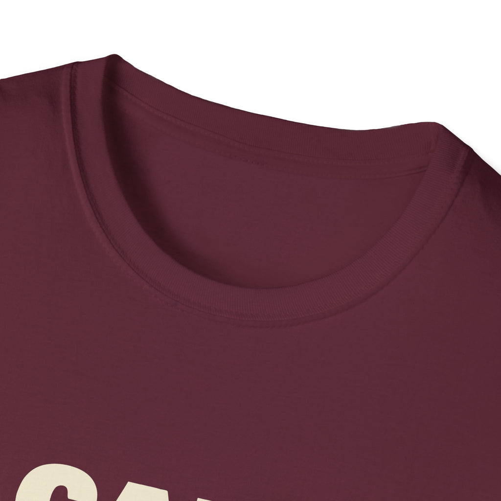 I Came. I Saw. I Lobbed It Out – Funny Pickleball T-Shirt