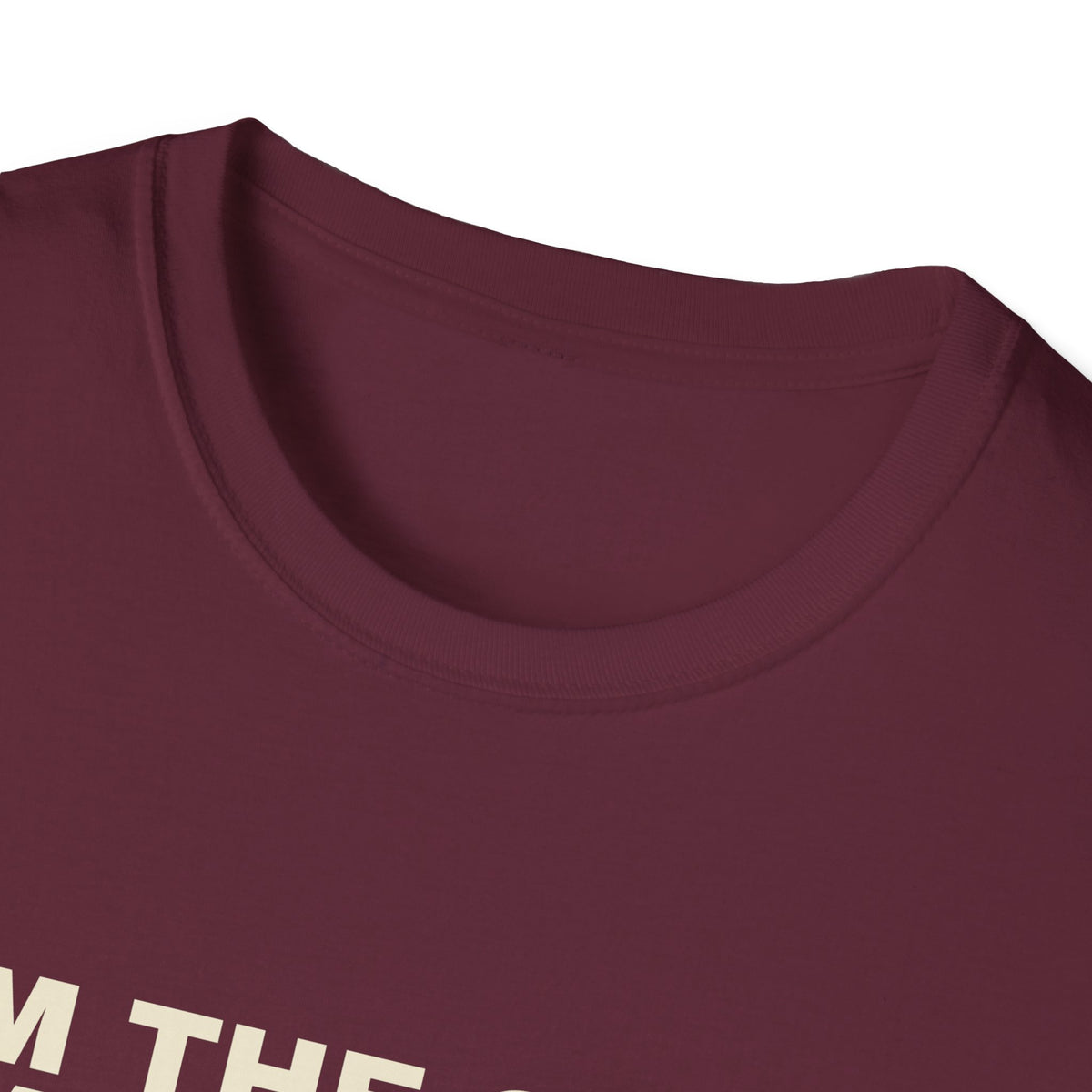 I'm the Good Partner. Ask Anyone Except My Partner – Funny Doubles Partner T-Shirt